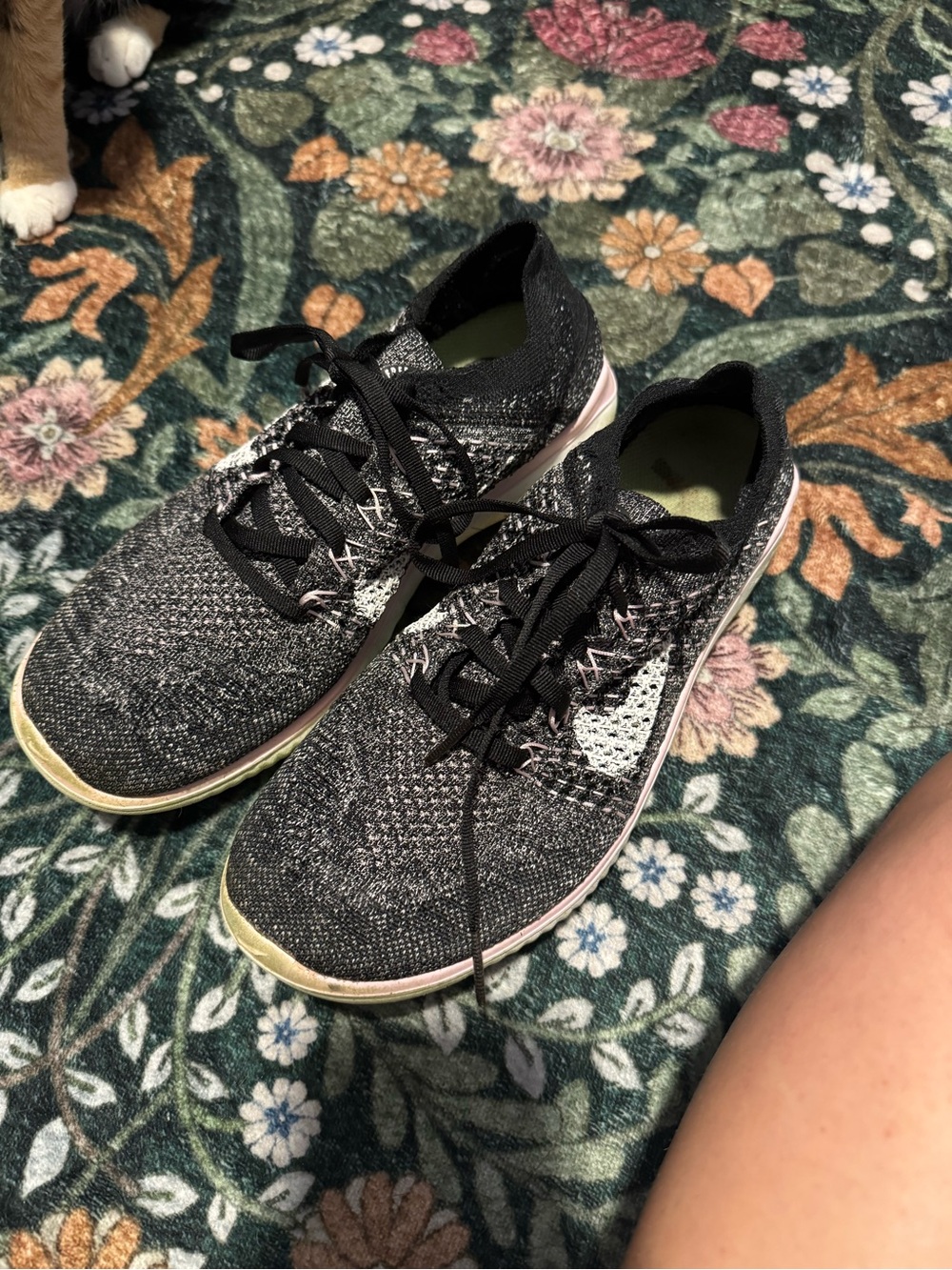 Nike Free RN Flyknit shoes